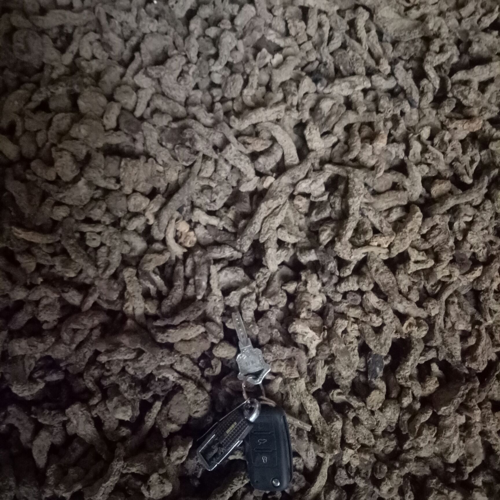 干地黄  正宗怀生地三级，产区直销