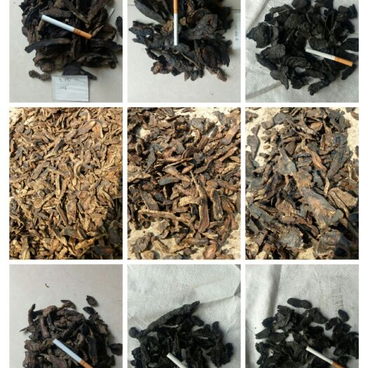 武陟县熟地  生地片，，河南武陟恒辉出品