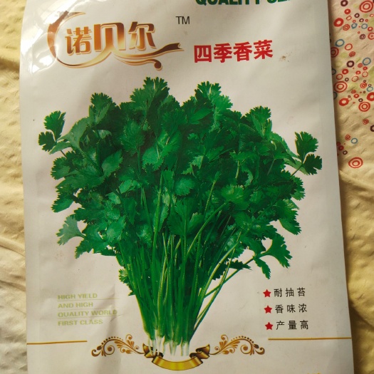 昌邑市 四季耐抽苔香菜种子