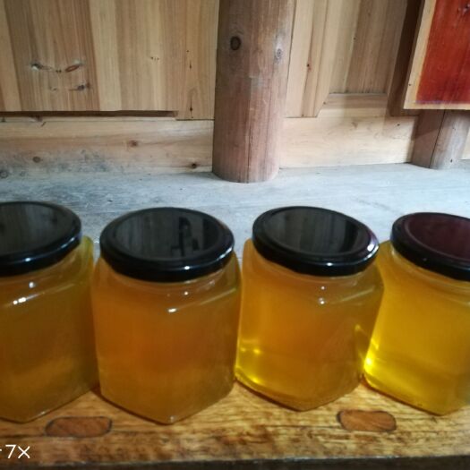 丹寨县土蜂蜜 玻璃瓶装 95%以上 1年