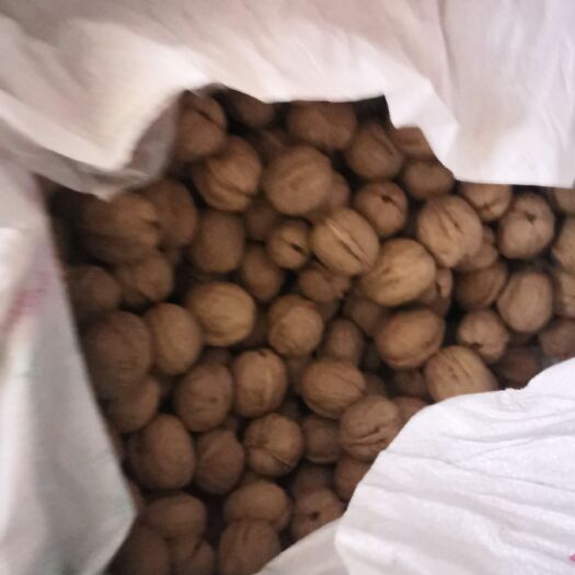 阿瓦提县新疆185核桃 