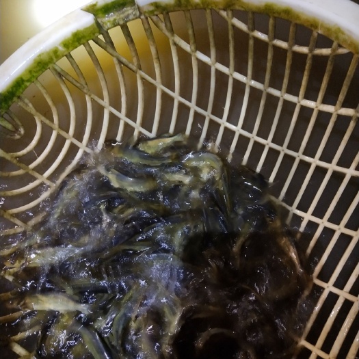 黄颡鱼  成品黄桑鱼