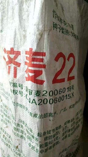 嘉祥县济麦22