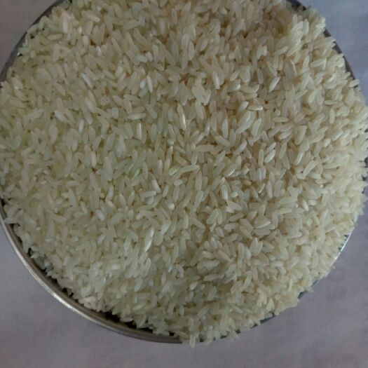 香米 一等品 晚稻 籼米 