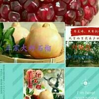 西安临潼石榴 0.8 - 1斤