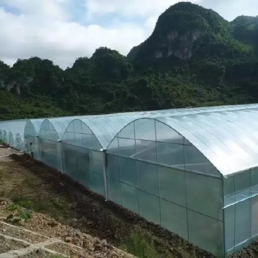 连云港钢管大棚 