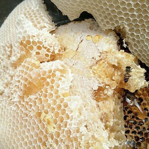 大理市 一年只卖一次的真蜂蜜，土蜂蜜，今年四窝蜂才有6斤多一点