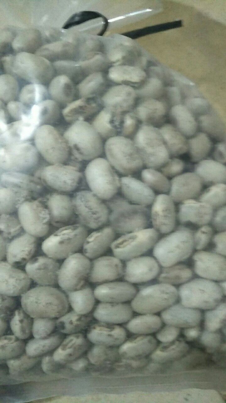 狗爪豆  狗爪，猫豆