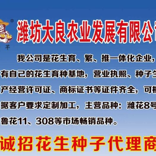 安丘市花生种子