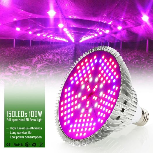 深圳全光谱LED植物生长灯E27灯泡室内多肉补光灯30W150W