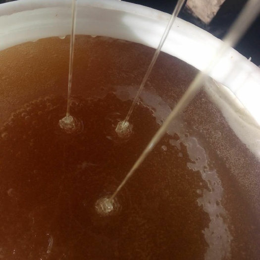 东宁市椴树蜜 桶装  2年