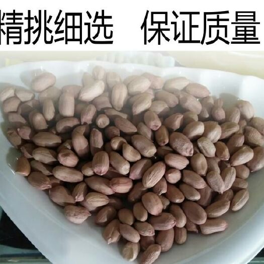 安丘市花生种子 