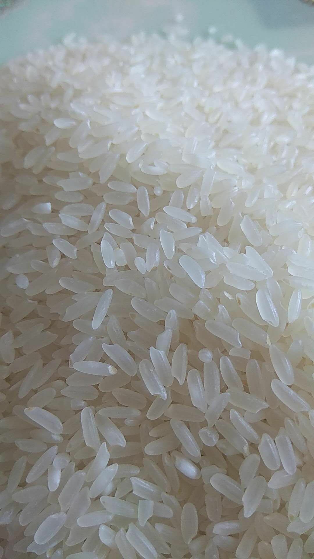  稻花香大米 晚稻 粳米 一等品 