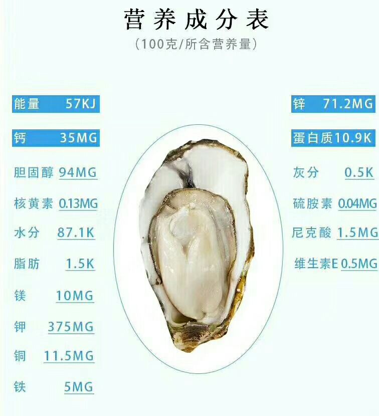 北部湾生蚝 6两以上/只   淡水