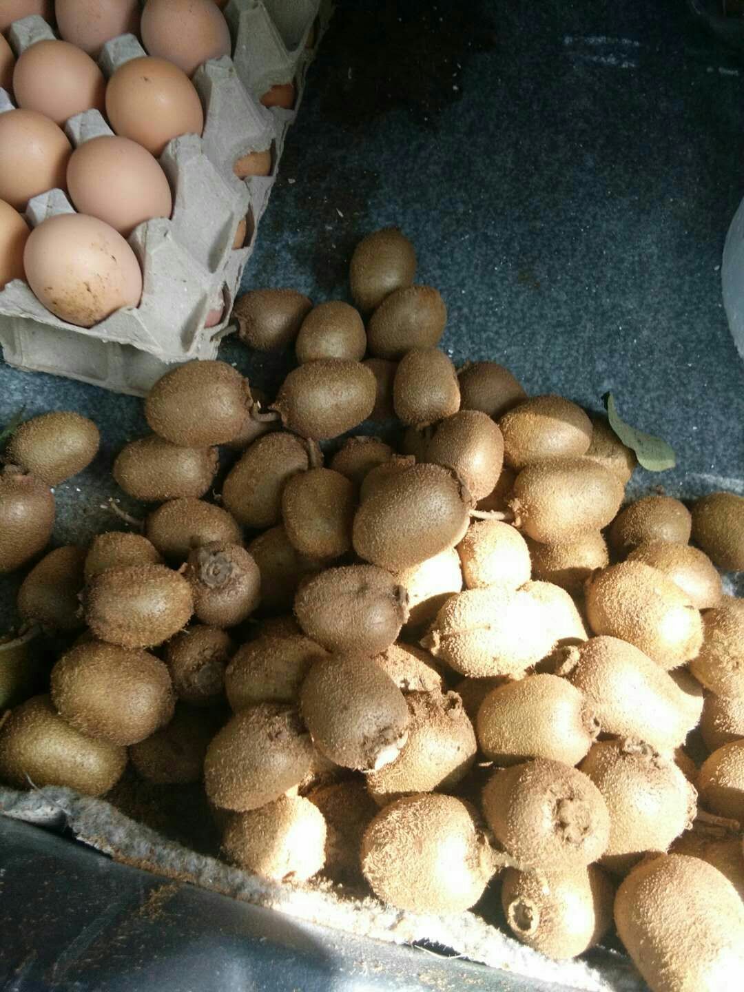 野生猕猴桃 60克以下