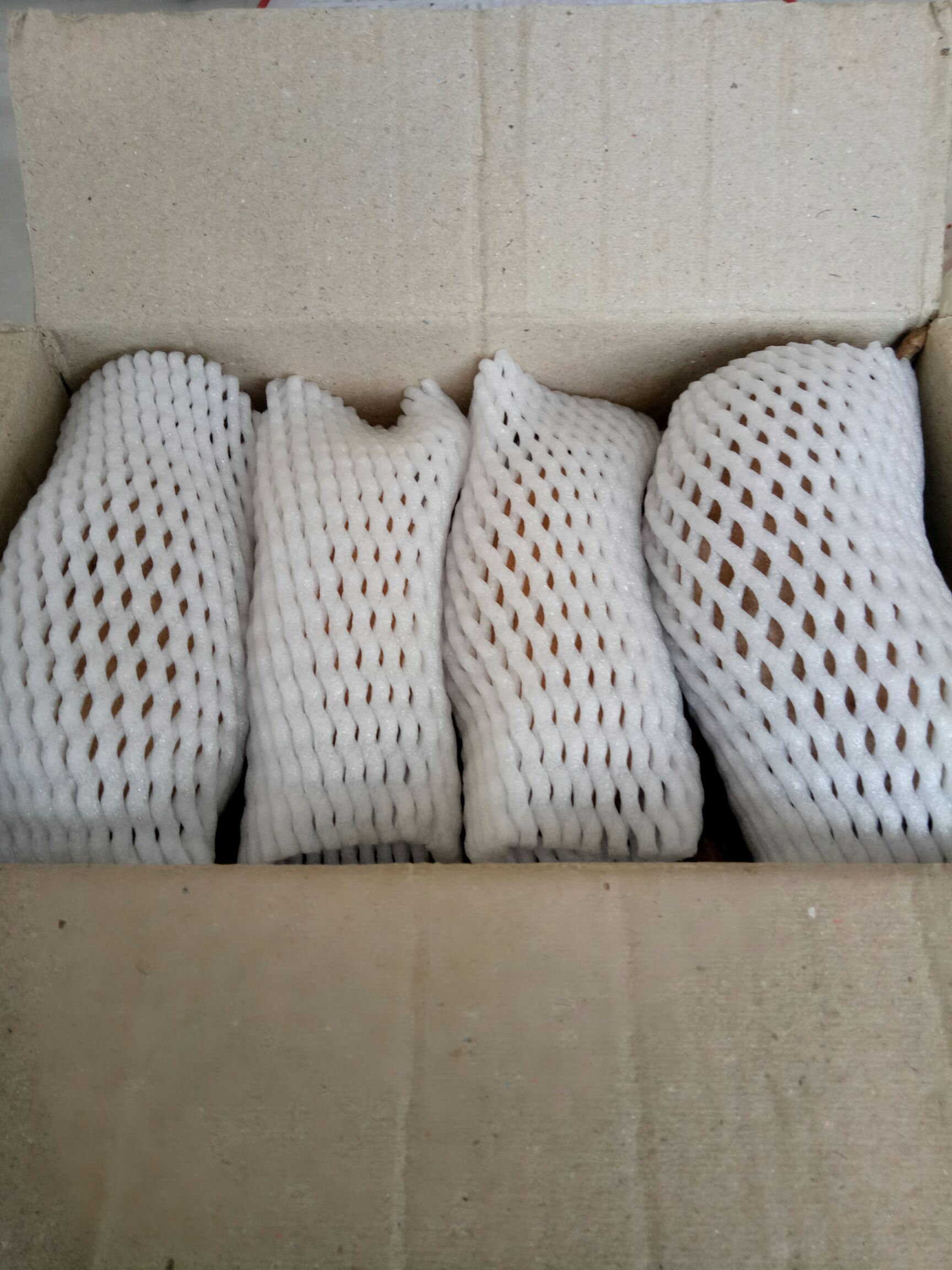 麻皮八月瓜 野生 150g以上