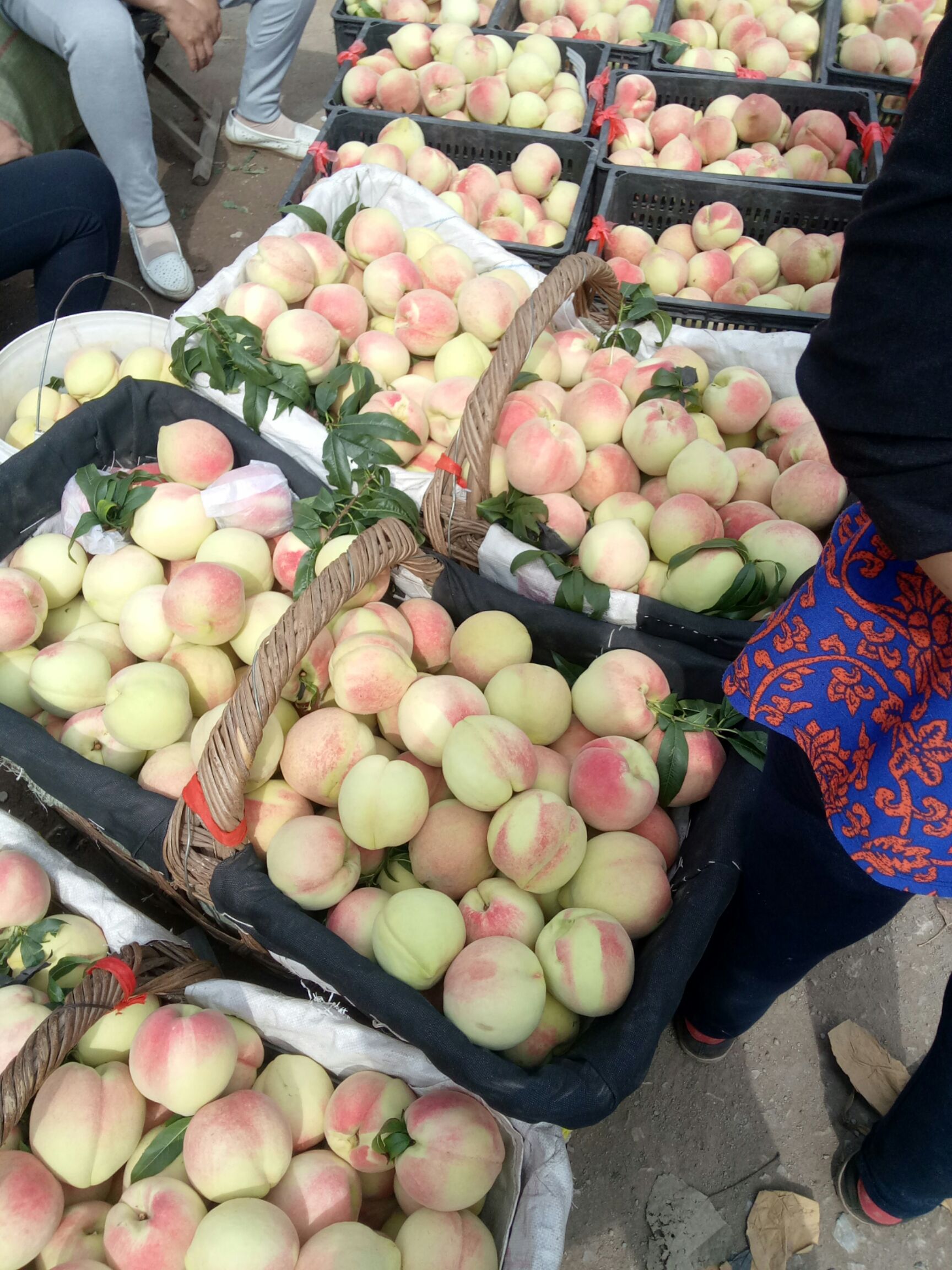 映霜红蜜桃 60mm以上 4两以上