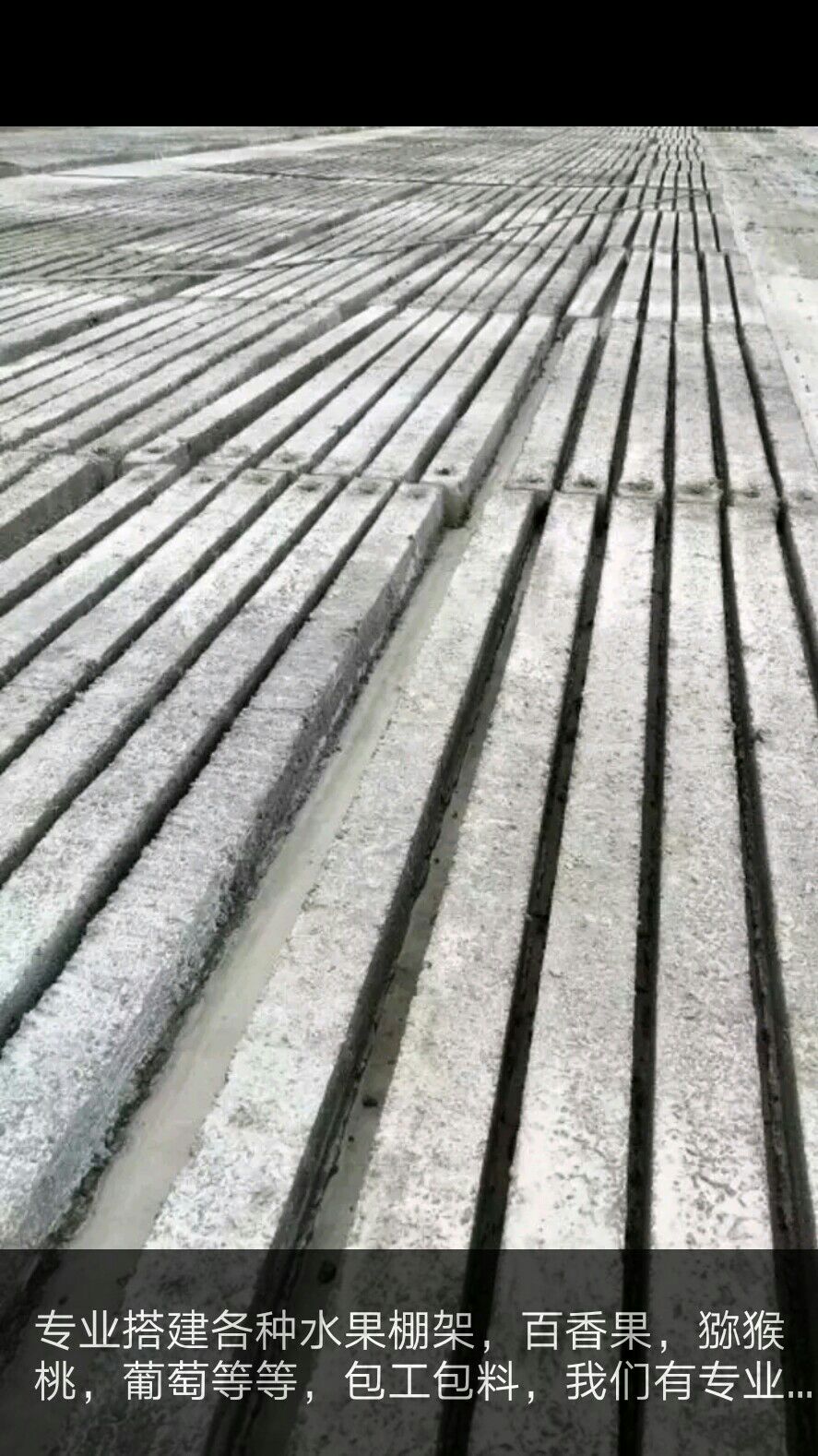 单体棚 猕猴桃架子，火龙果，百香果，葡萄各种架子