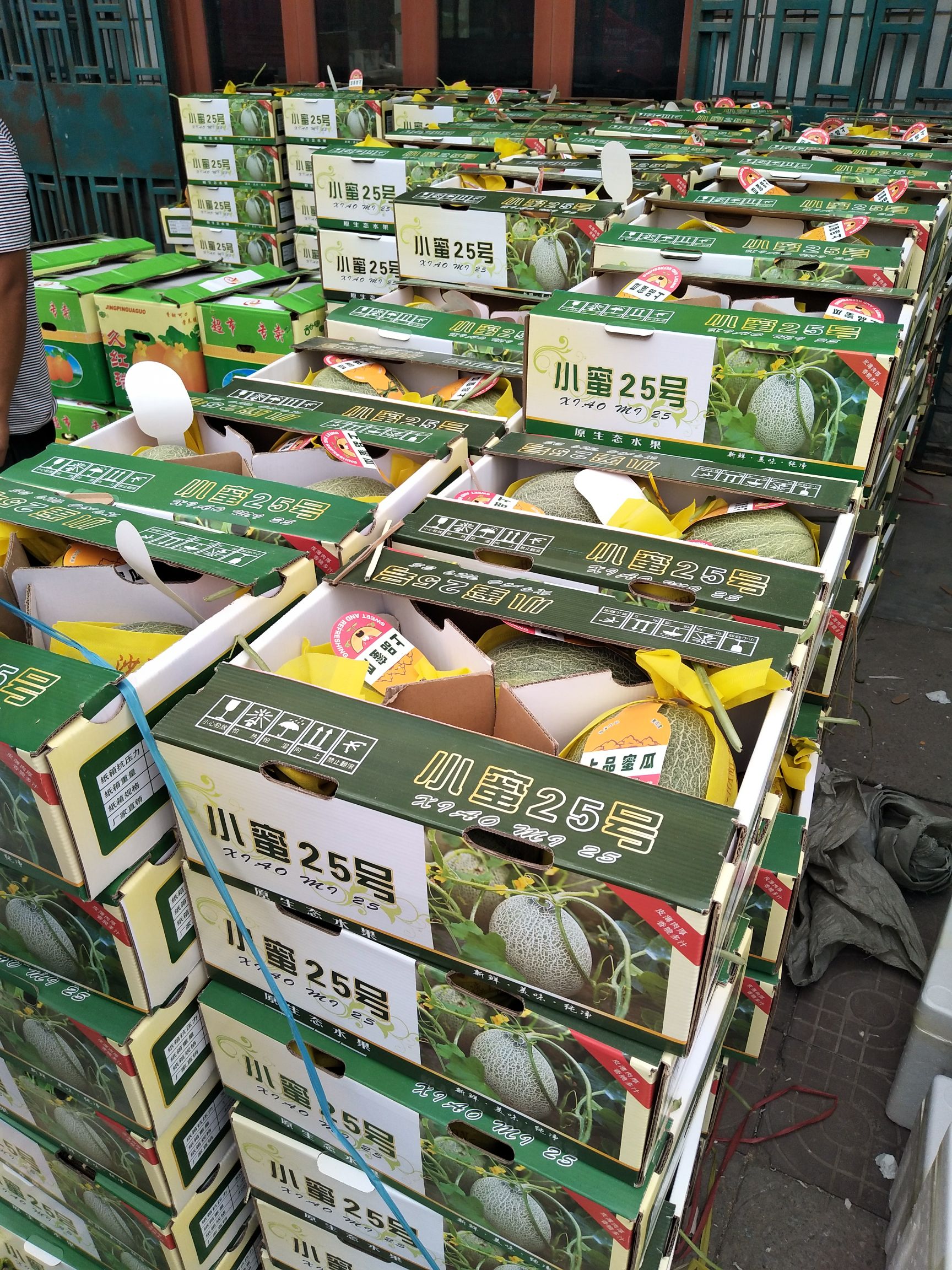  小蜜25，甜瓜香瓜哈密瓜基地，品种上百种