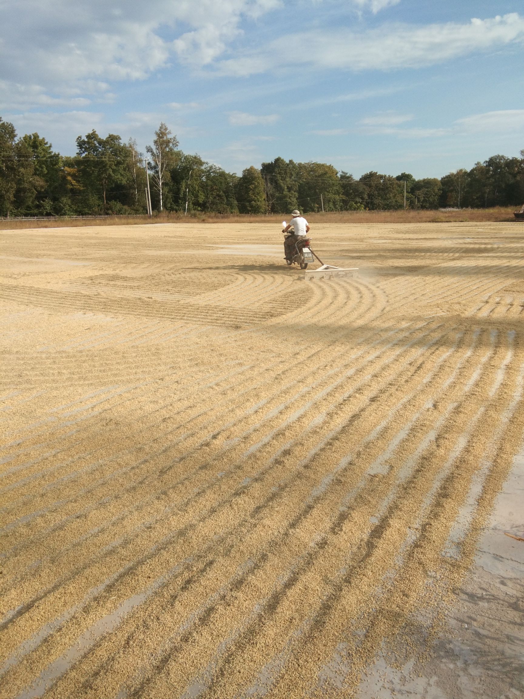 稻花香二号大米  【稻花香大米】支持批发零售全国包邮，咨询优惠