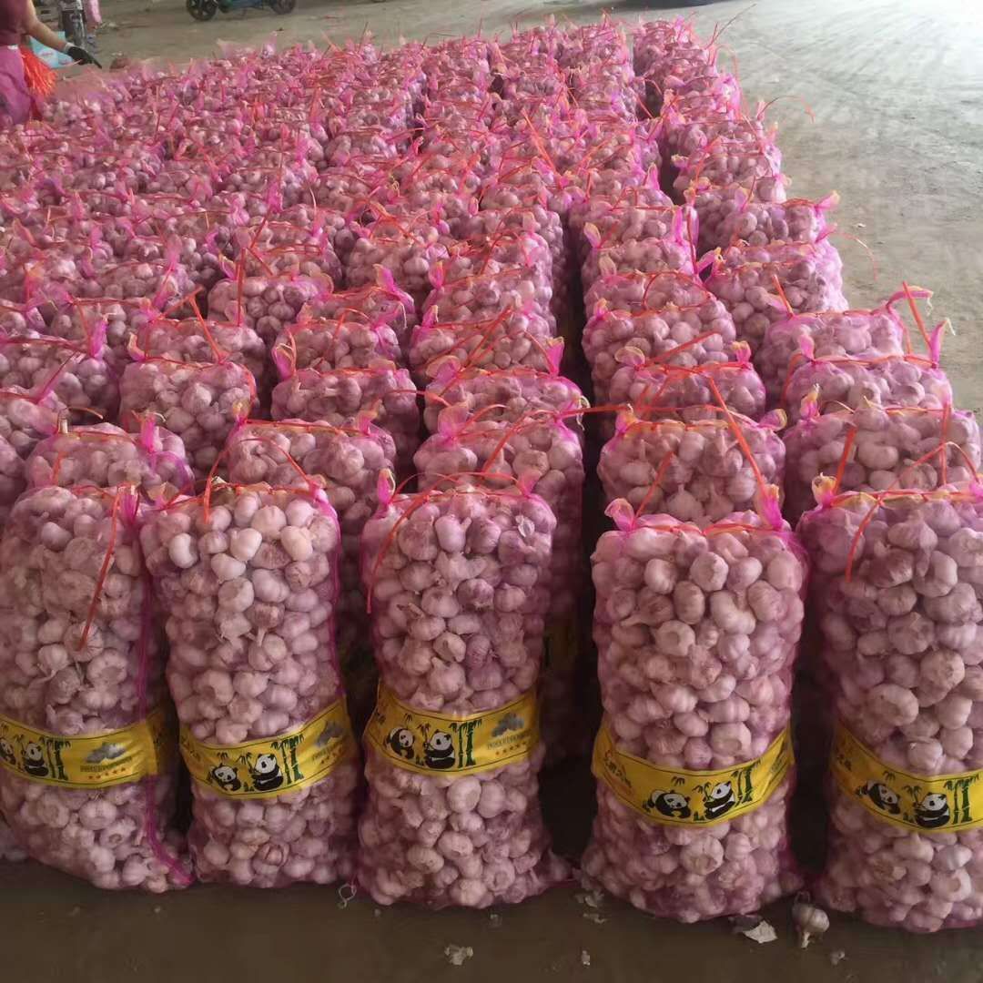 脱水蔬菜加工：走进健康食材的新时代