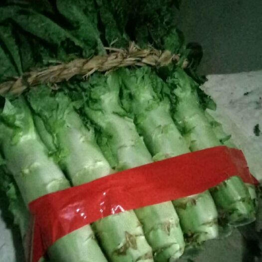 郯城县郯城县红尖叶莴笋大量供应中