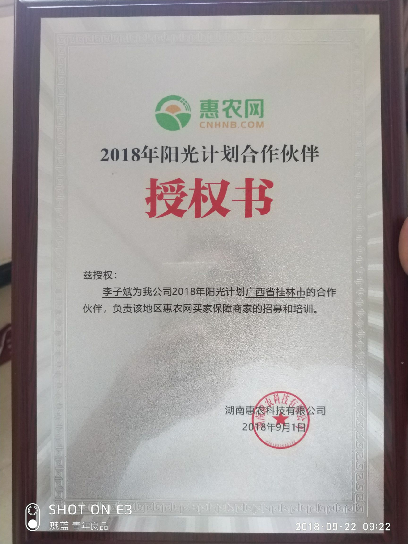 沃柑苗 杯苗袋苗 0.5~1米