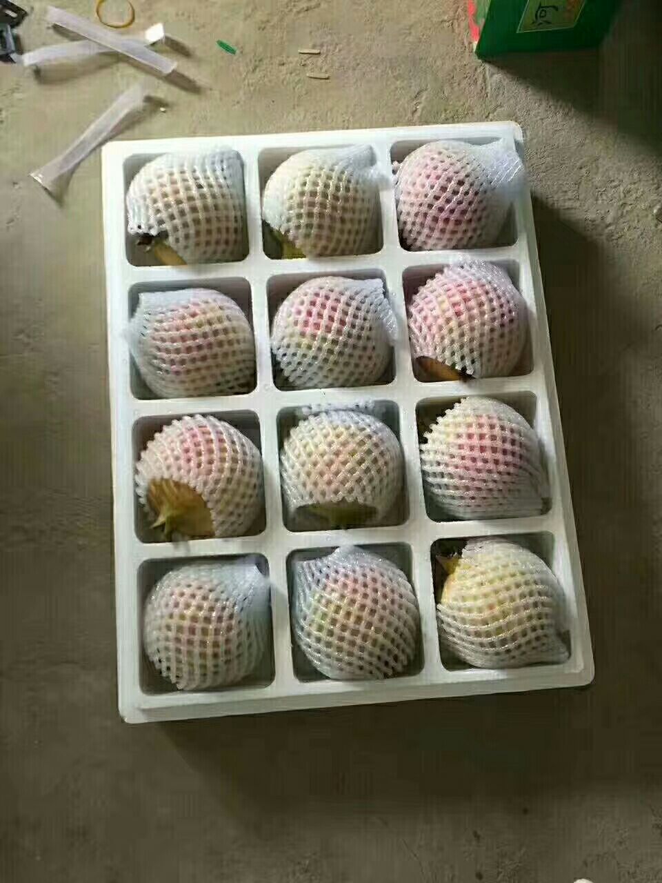  正宗的河阴石榴