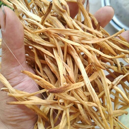 灵宝市西闫黄花菜 散装 特级 