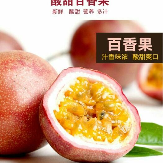 北流市紫香一号百香果 40 - 50克