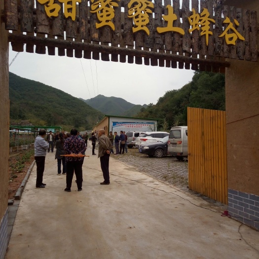 阳城县土蜂蜜  2年 塑料瓶装