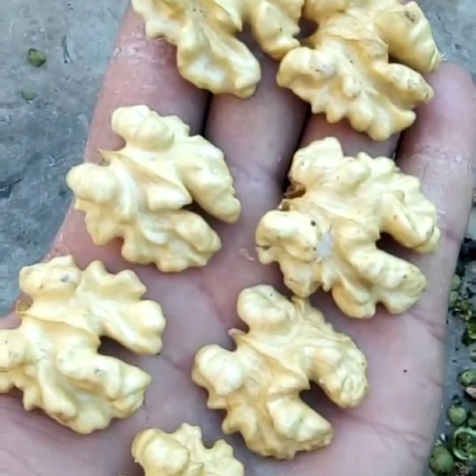  绵核桃青皮 上车价