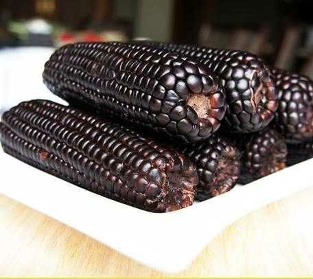 松原鲜食黑玉米（真空）