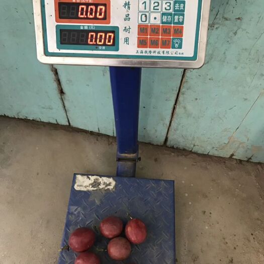 荔浦市紫色百香果 50 - 60克 