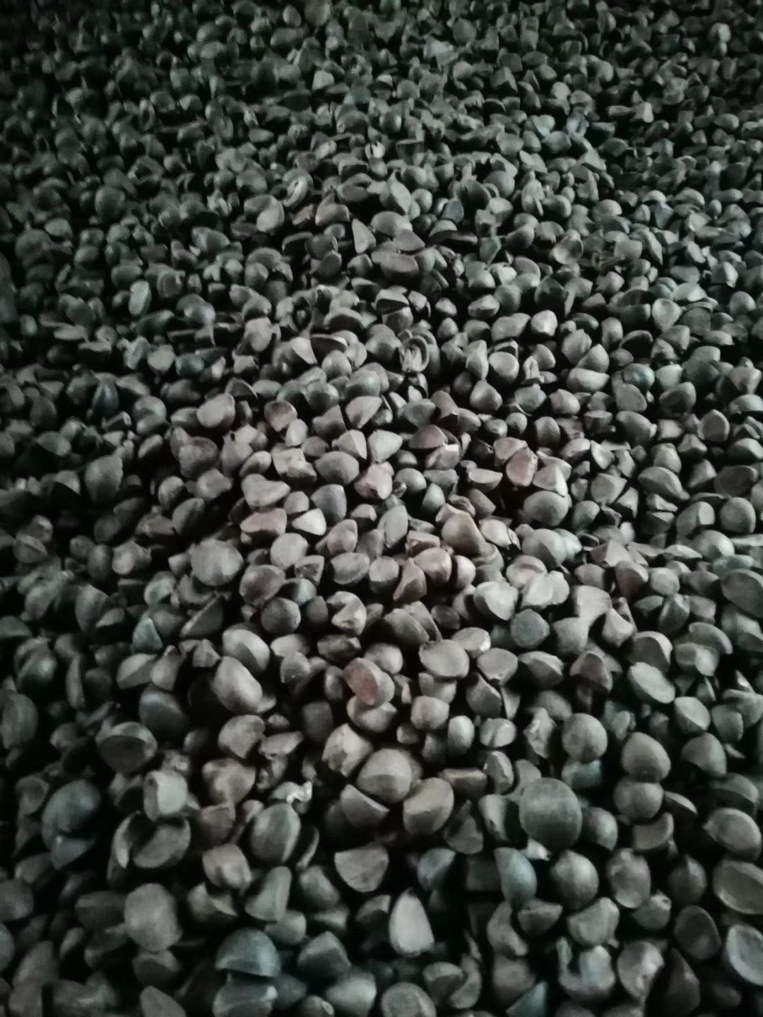 野生山茶油 