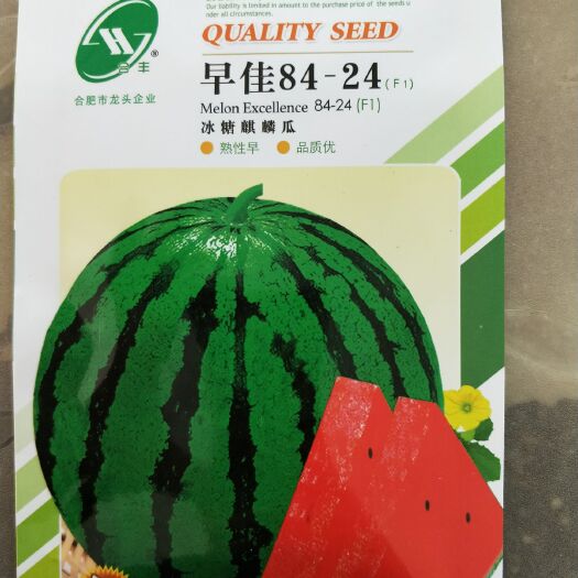 肥东县早佳8424西瓜种子 三倍体杂交种 ≥90% 