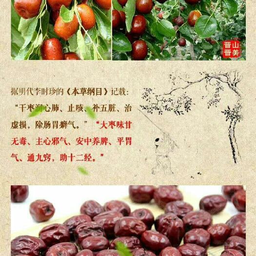 稷山县山西红枣 一级