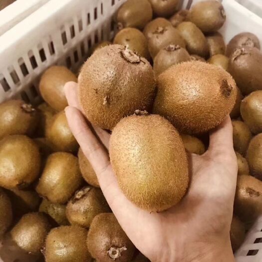 西峡县徐香猕猴桃 100~120克