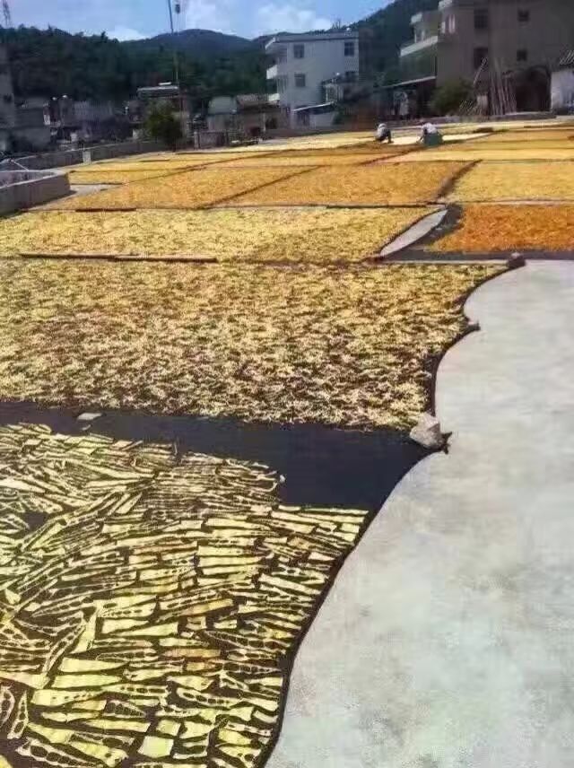 麻竹笋干 礼盒装 半年