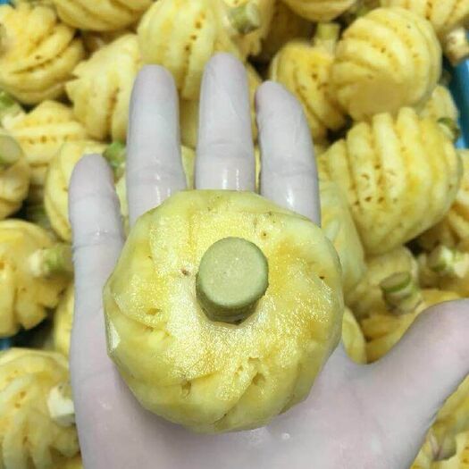 昆明泰国小菠萝 1 - 1.5斤 