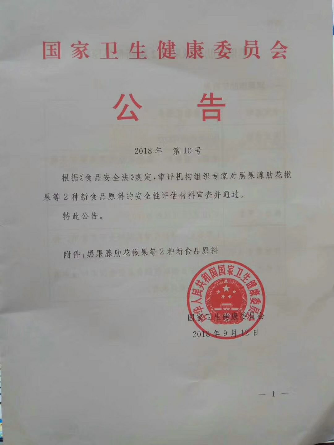黑果花楸  富康园一号 几年苗都有