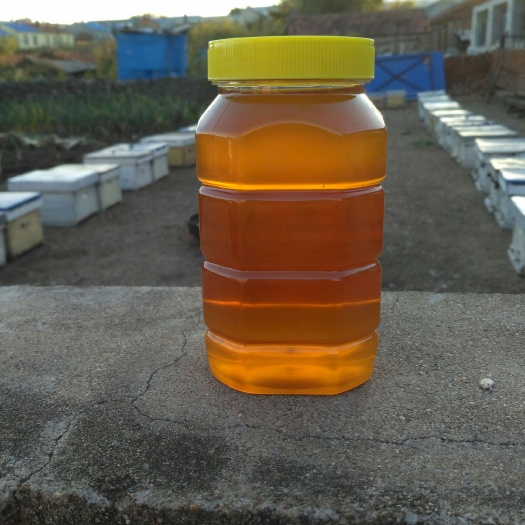 阿荣旗土蜂蜜 塑料瓶装  2年以上