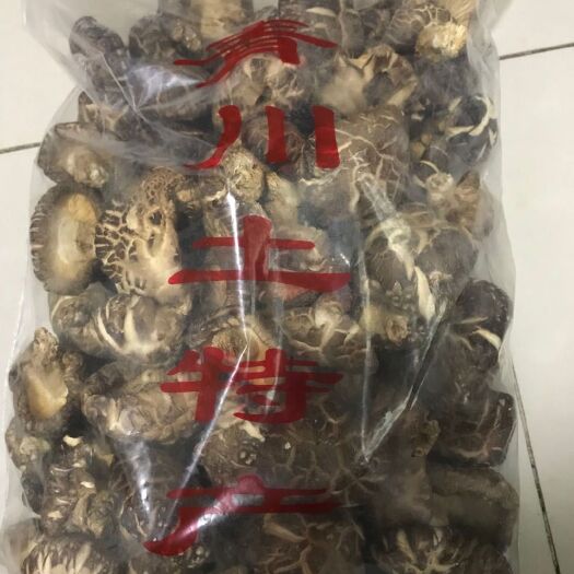 深圳椴木菇 袋装 1年以上