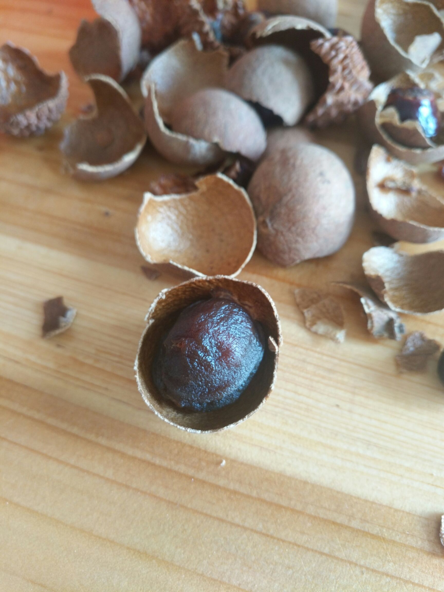 带壳桂圆 袋装 优等 带壳 