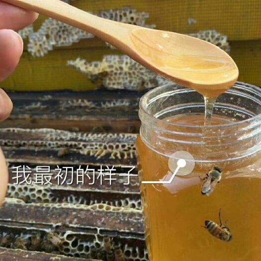 邢台巢蜜 塑料瓶装  1年 蜂巢蜜