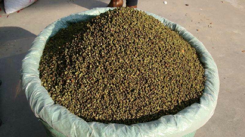 麻椒 特级 干花椒