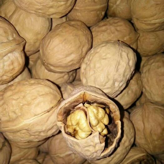 新泰市薄皮核桃