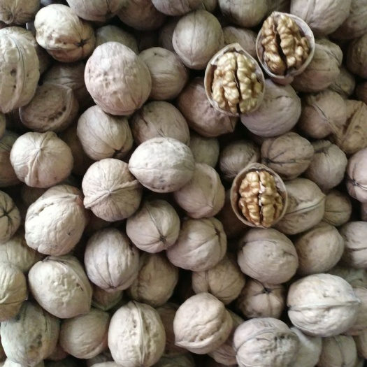 怀化薄皮核桃  新疆185核桃 2021新货   果仁饱满颜色好看   价格