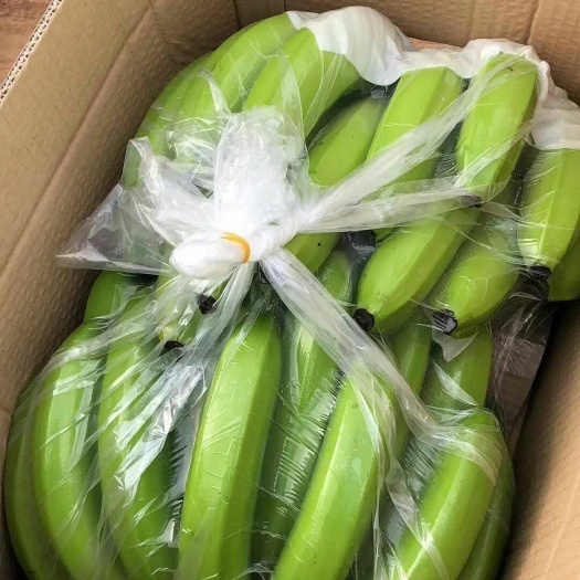 邯郸广西蕉 七成熟 