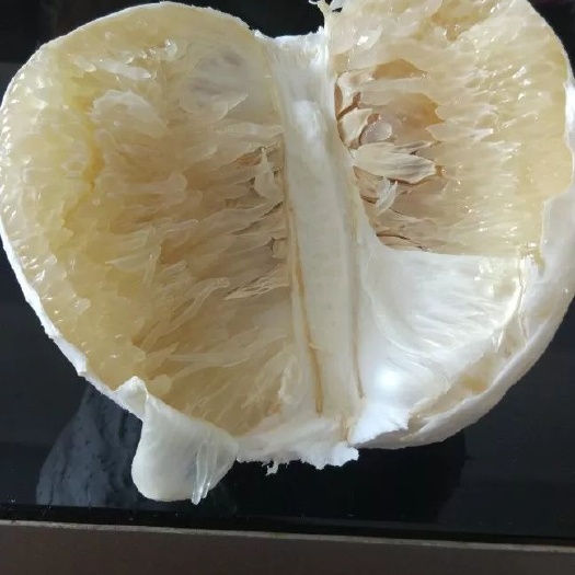 文旦柚 1.5斤以上